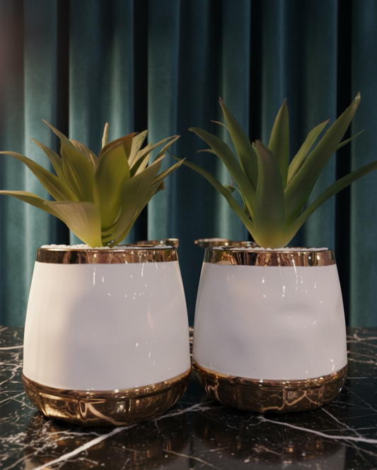 White & Gold Succulent Pot Set