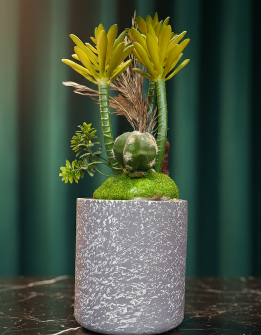 Textured Gray Cactus Planter