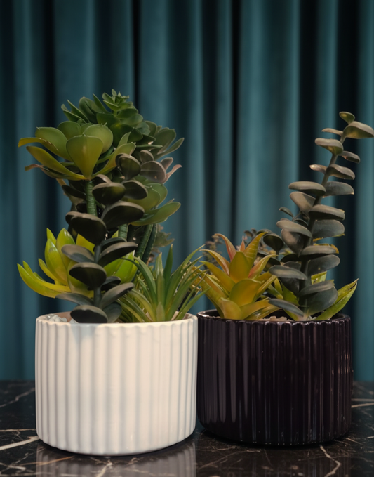 Modern Black & White Ribbed Planter Set