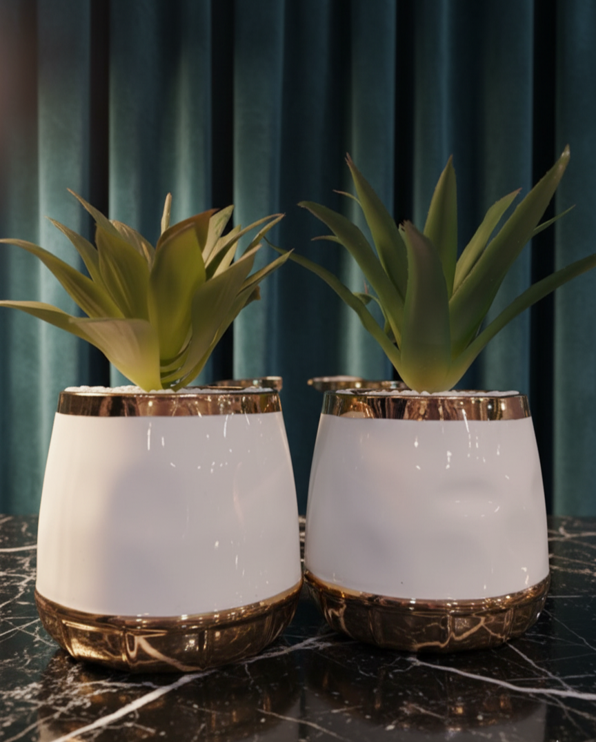 White & Gold Succulent Pot Set